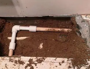 茄子河测漏水哪家好