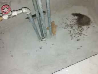 茄子河卫生间测漏水价格明细