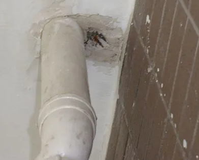 茄子河漏水检测哪家好